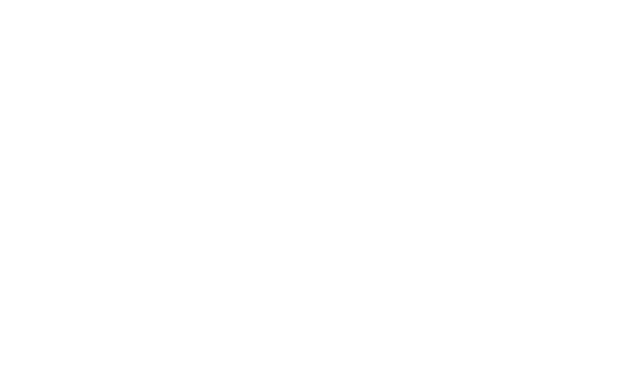 DIM PAMIR