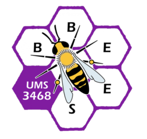 Logo - BBEES
