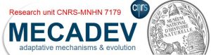 Mecadev_logo