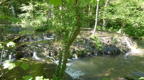 Tuf actuel dans la vallée de Triffoy (bassin du Hoyoux, Belgique), mai 2019